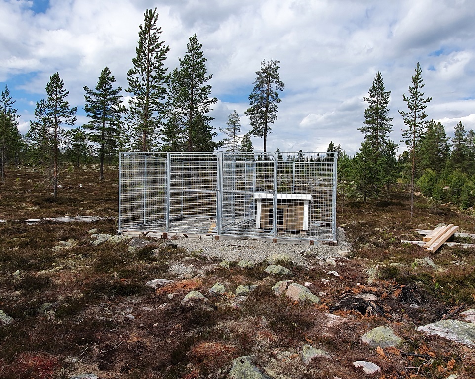 Hundgård Boende hundgård