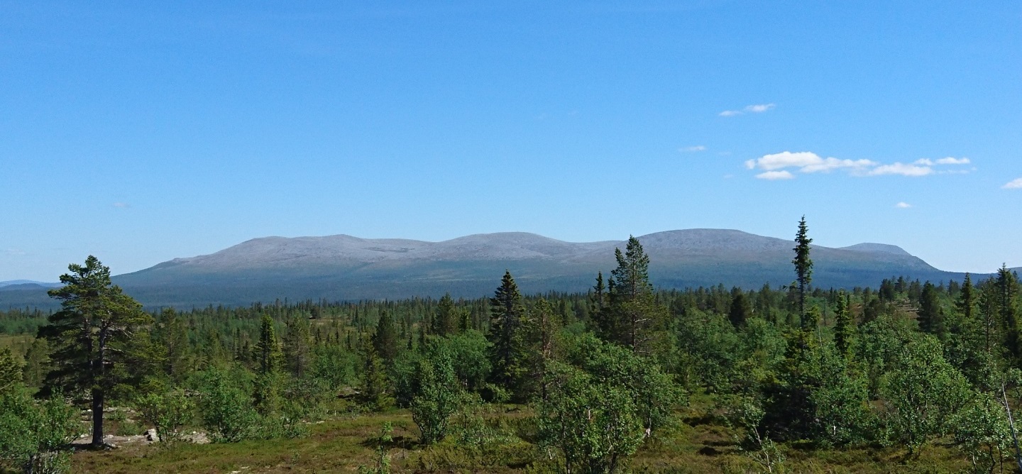 Utsikt Mammersjön