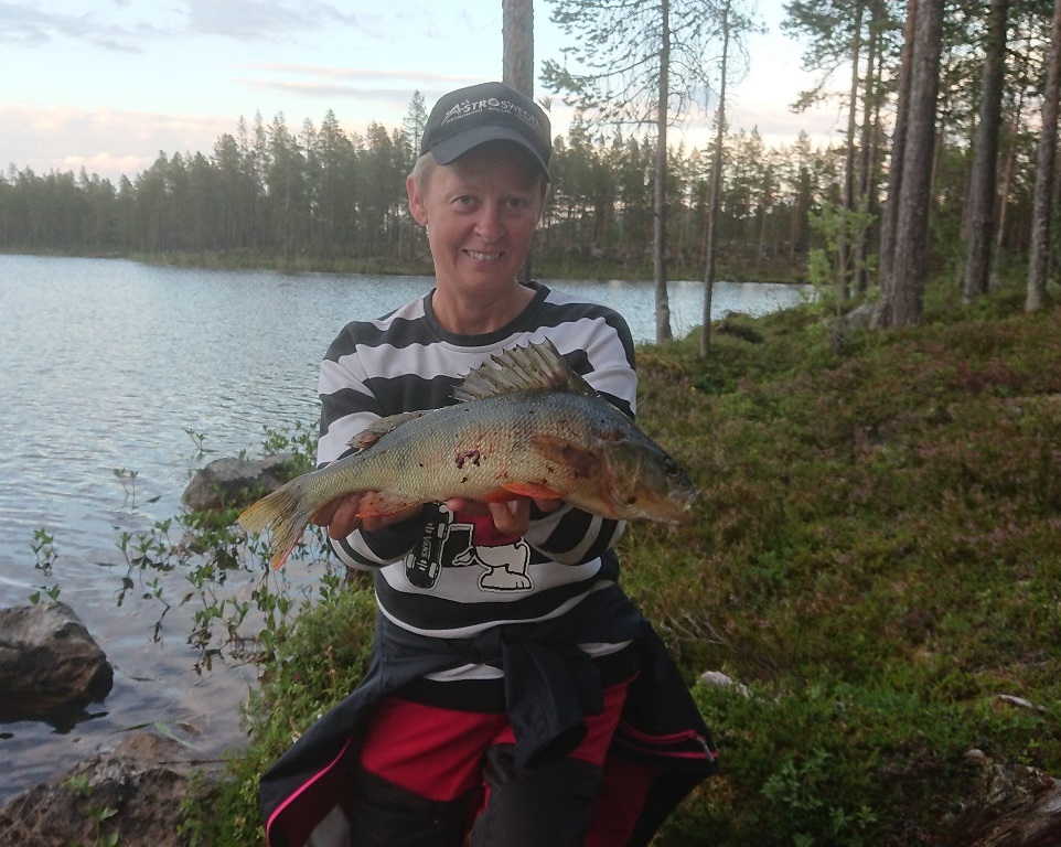 Stor-abborren