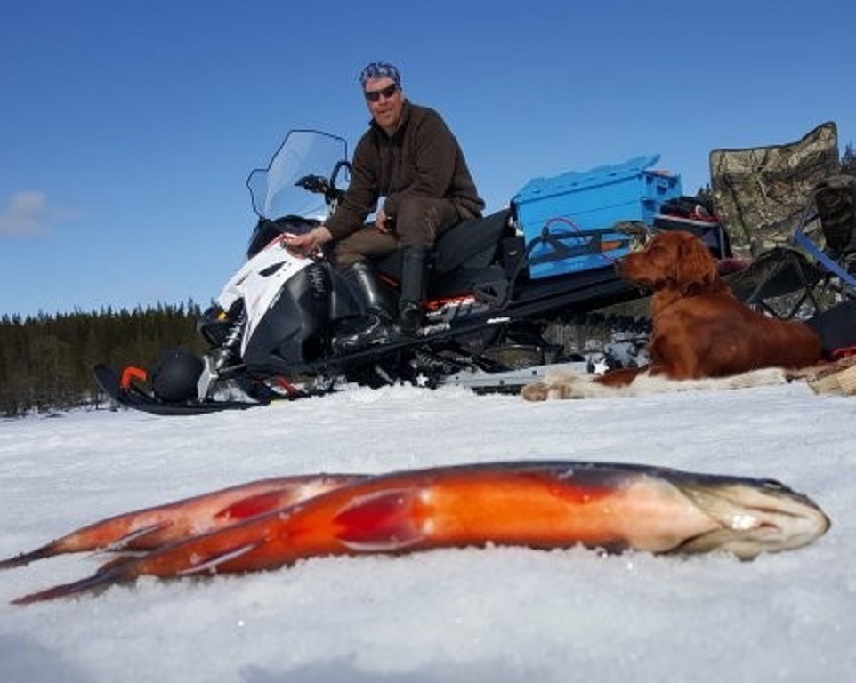 Pimpelfiske på vårfjället