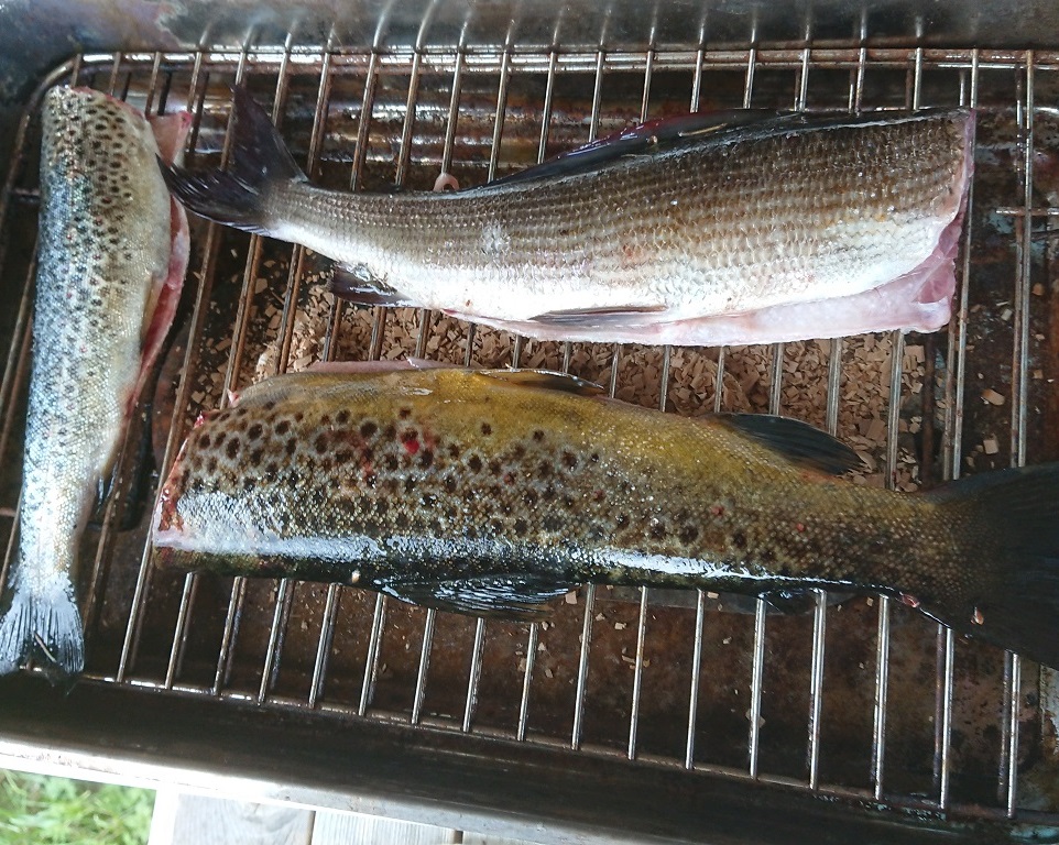Nyfångad fisk i röken