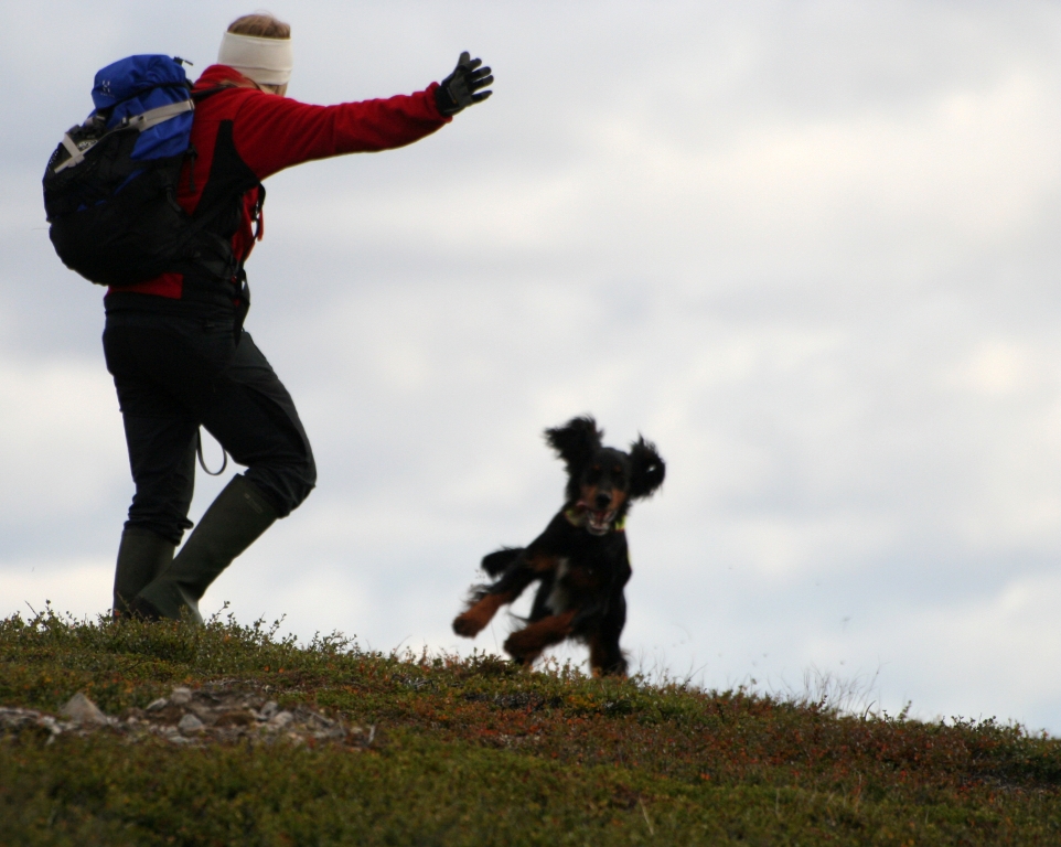 Individuell coaching för dig & din hund Individuell hund-coaching för dig och din hund