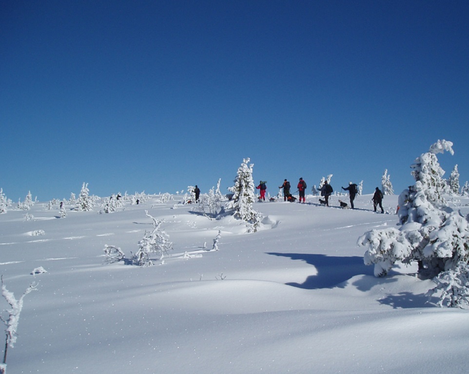Träning på våra fjällmarker vinter/vårtid